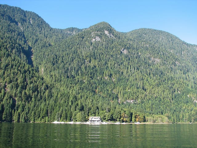Vancouver Brunch Cruise - The brunch buffet: what’s included, what’s extra, and how it’s served
