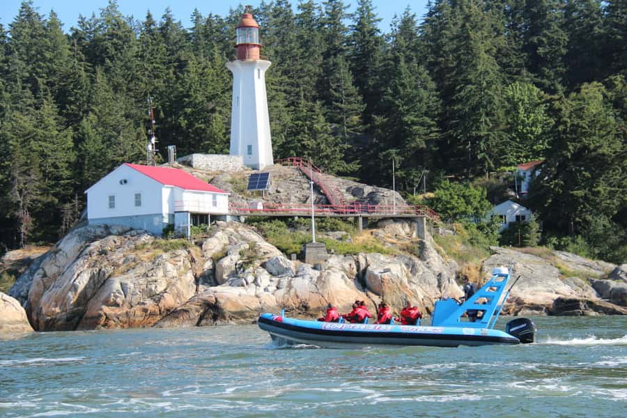 Vancouver: City and Seal Boat Tour - Quick hits before you go