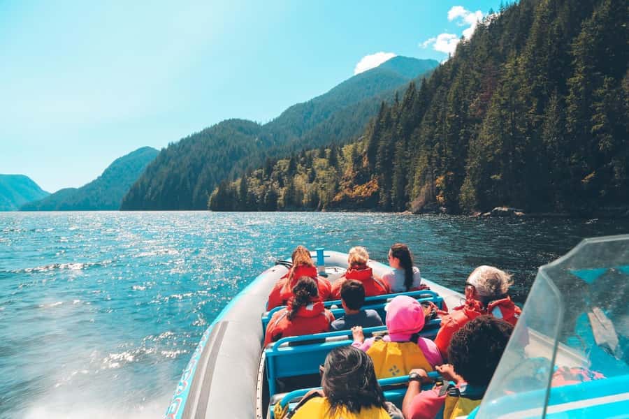 Vancouver: City and Seal Boat Tour - Why this Vancouver boat route feels different from land tours