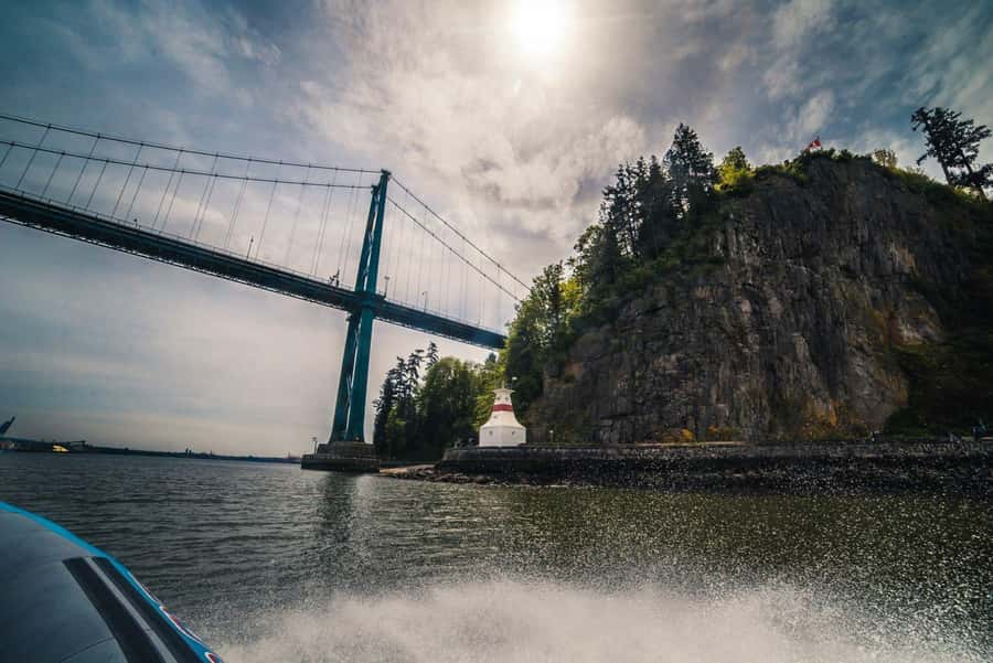Vancouver: City and Seal Boat Tour - Who should book this tour (and who should skip it)
