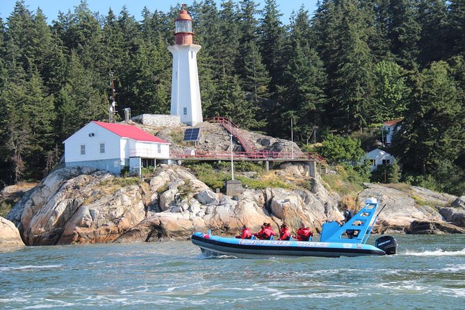 Vancouver City and Seal Colony Scenic Boat Tour - Seal Colony Hot Spots: How This Tour Maximizes Wildlife Odds