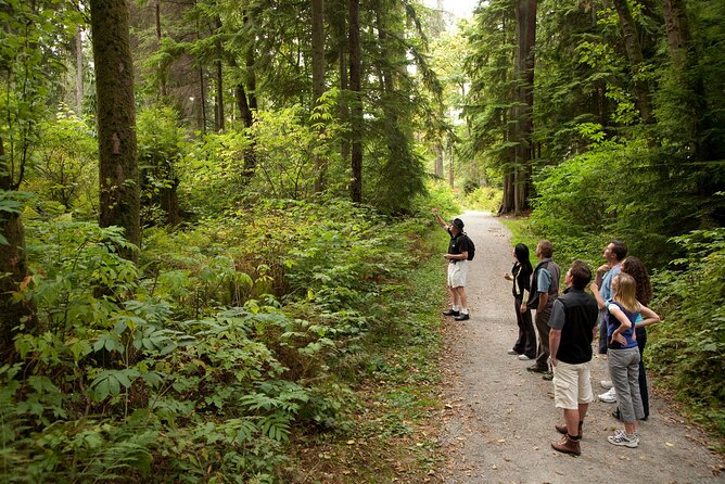 Vancouver City & Lookout Tour and Option to Add Airport Drop Off - Gastown and Chinatown: Pass-By Views With a Few Quick Photostops