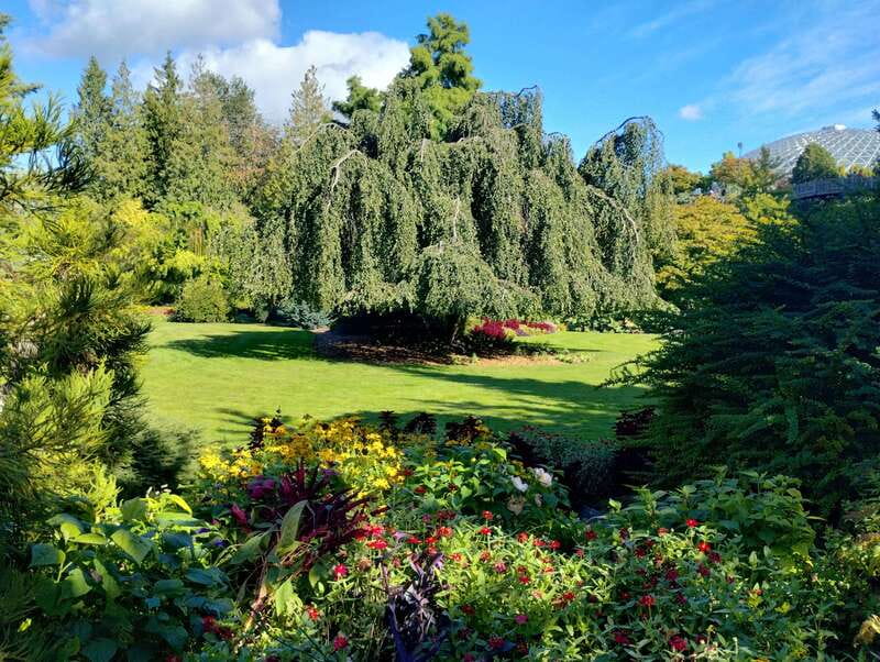 Vancouver City Tour: The Only Full Small-Group Car Tour - Key Highlights You’ll Actually Feel During the Tour