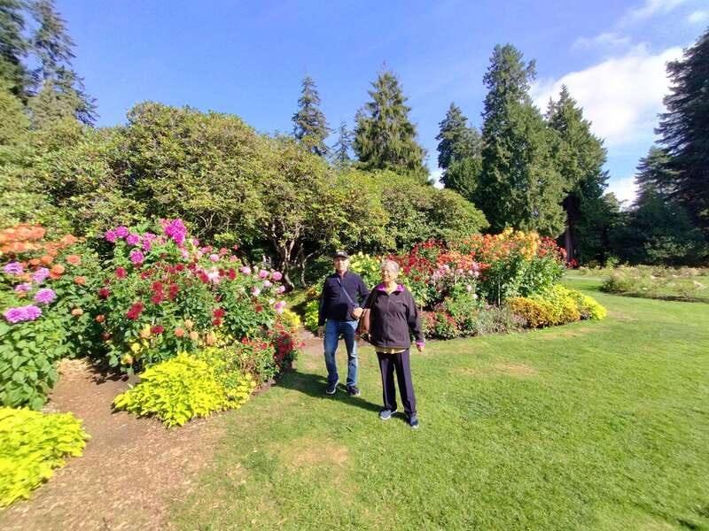 Vancouver City Tour: The Only Full Small-Group Car Tour - Vancouver Lookout and Other City-Wide Views