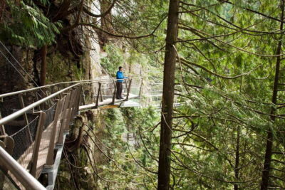 Vancouver: City+Lookout+Capilano Suspension Bridge Ticket - Stanley Park totem poles: the quick cultural hit that sets the tone