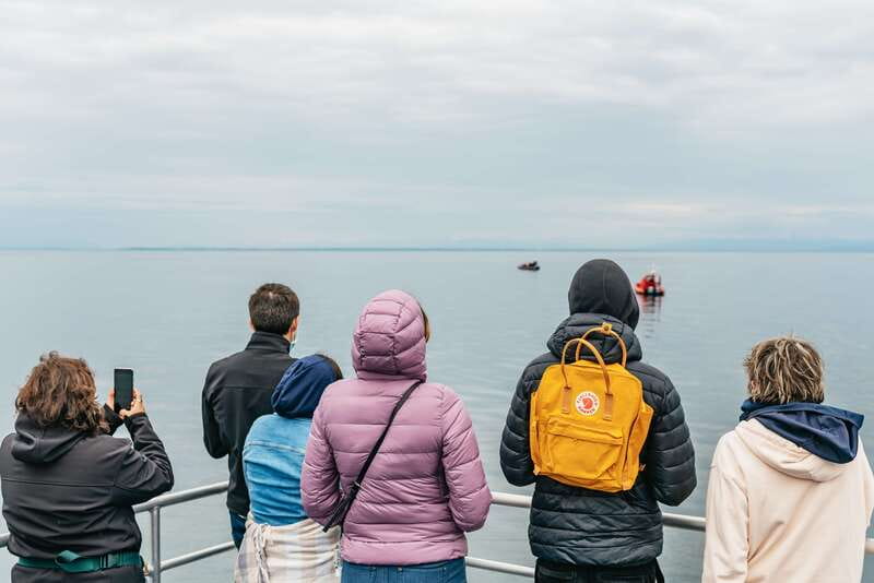 Vancouver: Covered Whale Watching Adventure with Free Photos - Sighting guarantee: what it means and how it changes your risk