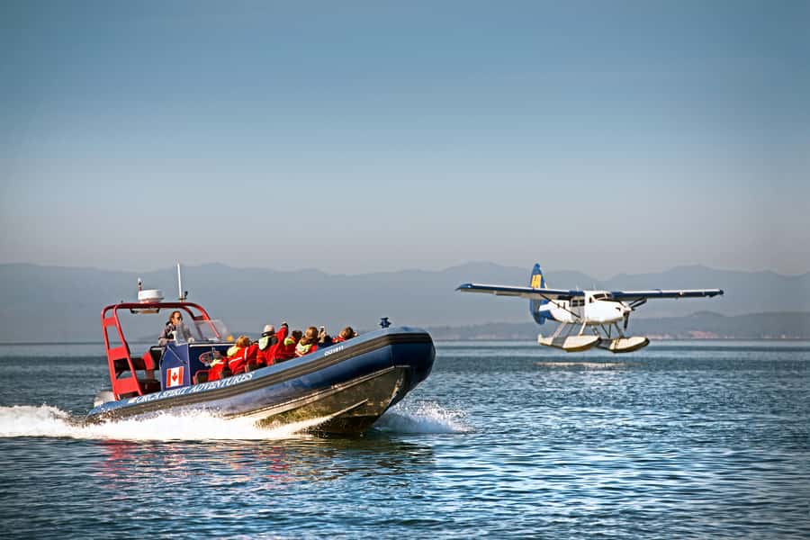 Vancouver: Day Trip to Victoria Seaplane with Whale Watching - Flying from Vancouver to Victoria by seaplane (and why it feels worth it)