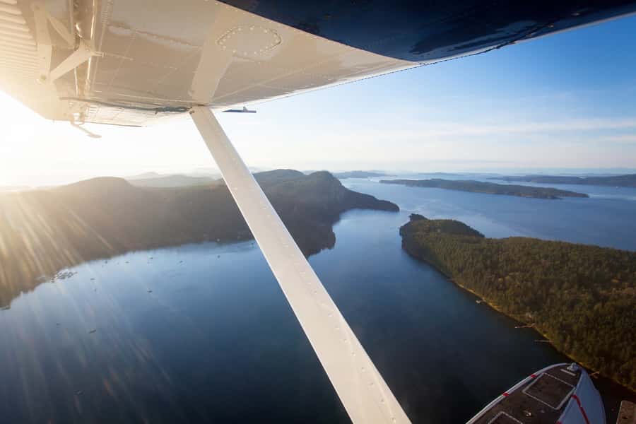 Vancouver: Day Trip to Victoria Seaplane with Whale Watching - What whales and wildlife you can reasonably expect