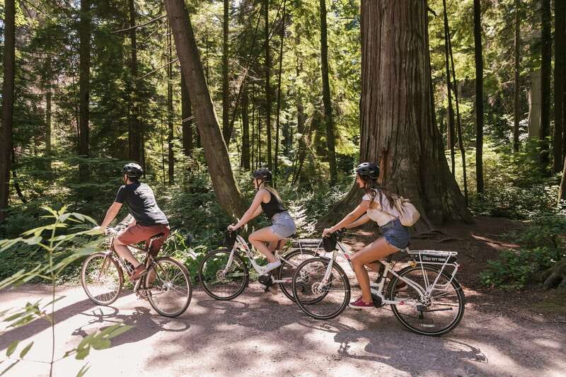 Vancouver: Half-Day City Highlights E-Bike Tour Age 16+ - Why a Half-Day E-Bike Works So Well in Vancouver