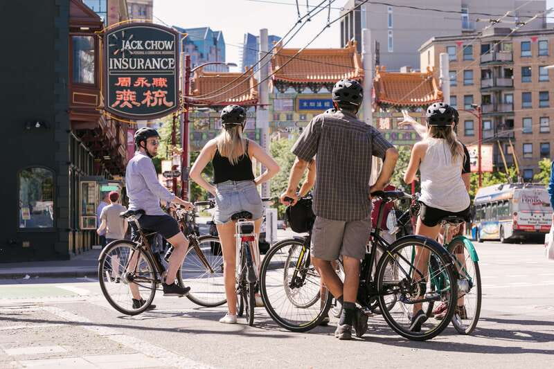 Vancouver: Half-Day City Highlights E-Bike Tour Age 16+ - Totem Poles and Beaver Lake: Culture and Wildlife Vibes in the Green