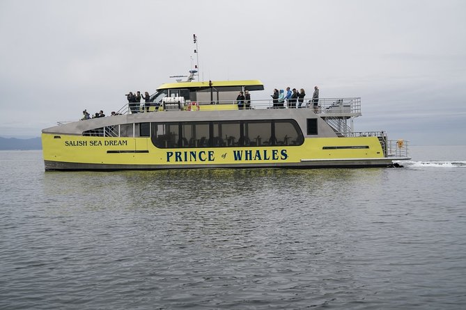 Vancouver Half-Day Whale Watching Adventure with Free Photos - A Half-Day Whale Watching Trip That Starts Near Downtown
