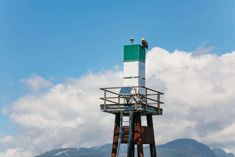 Vancouver: Indian Arm and Granite Falls Zodiac Boat Tour - Price and value at $116: what you’re really paying for
