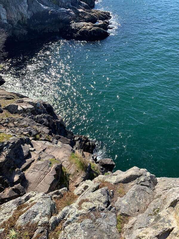 Vancouver: Lighthouse Park Hike - Key highlights worth showing up for