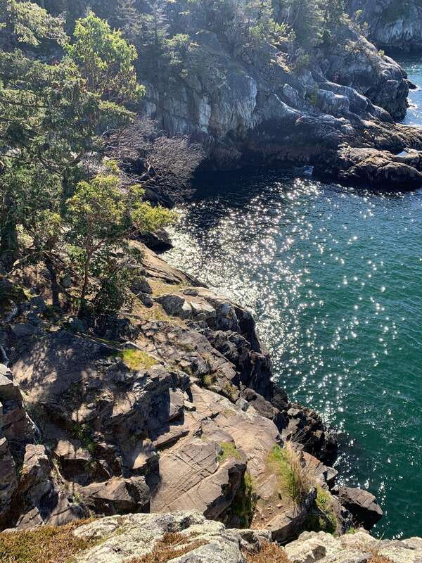Vancouver: Lighthouse Park Hike - The 6km hike: an easy pace with real view payoff