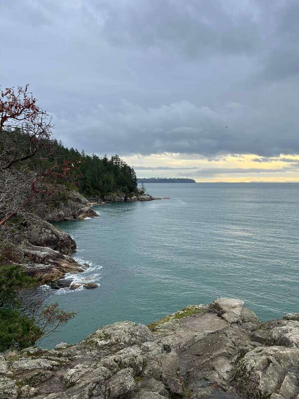 Vancouver: Lighthouse Park Hike - Who this Lighthouse Park hike is best for