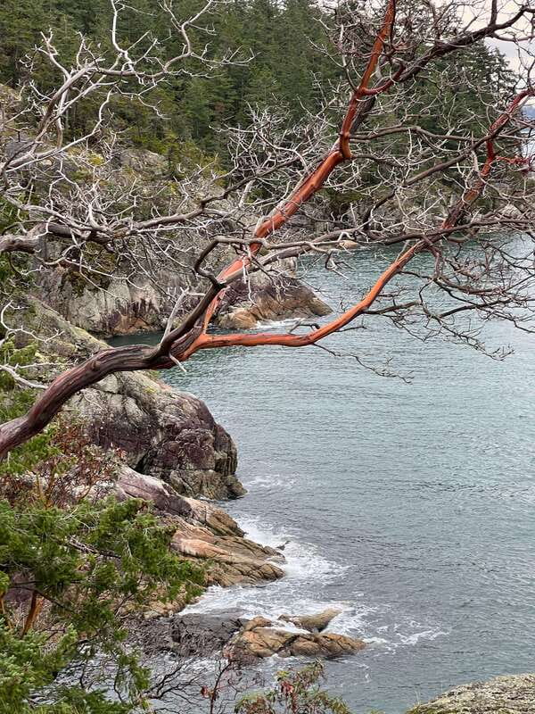 Vancouver: Lighthouse Park Hike - Before you go: simple packing choices that matter