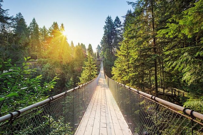 Vancouver Panorama Scenic Seaplane Tour + Suspension Bridge Tour - Seaplane first: the fastest way to get your bearings in Vancouver