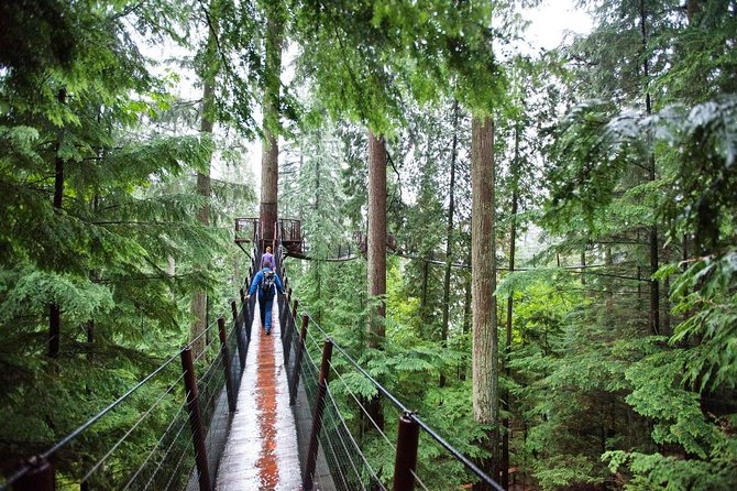 Vancouver Premium Tour: Capilano Bridge + Grouse Mountain Lunch - Capilano Suspension Bridge Park: The 450-Foot Walk Across Nerve and Forest