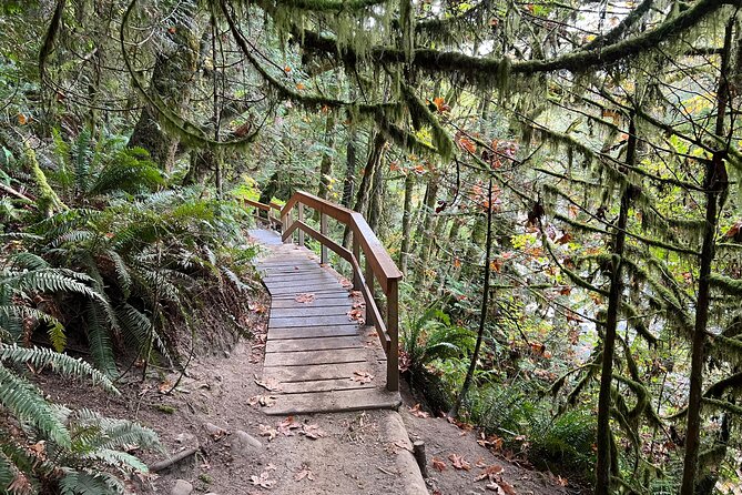 Vancouver Rainforest Hike with Waterfalls, Suspension Bridge, Old Growth Forest - Old-growth rainforest trails: where the hike becomes worth it