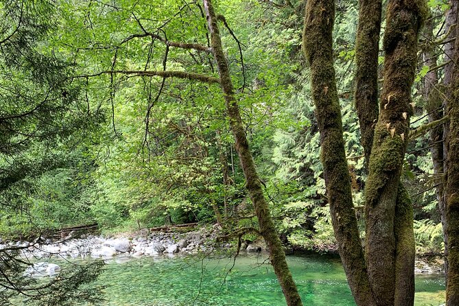 Vancouver Rainforest Hike with Waterfalls, Suspension Bridge, Old Growth Forest - Lions Gate Bridge: the city payoff on the way back