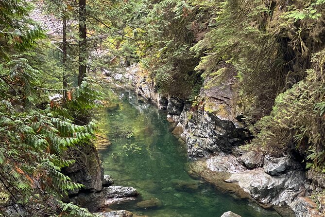 Vancouver Rainforest Hike with Waterfalls, Suspension Bridge, Old Growth Forest - How hard is it, really? Stairs, elevation, and what to pack