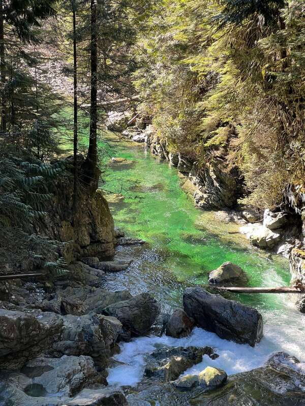 Vancouver: Rainforest Waterfall Hike and Suspension Bridge - Rainforest Waterfalls Plus a Suspension Bridge: What Makes This Hike Fun