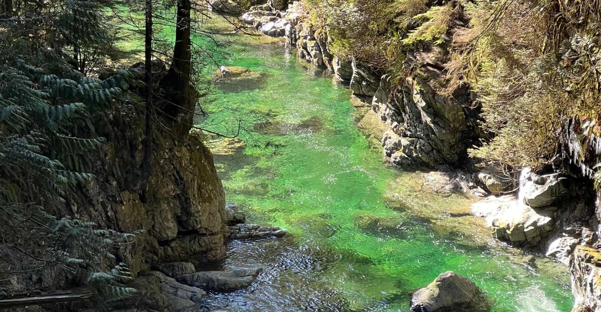 Vancouver: Rainforest Waterfall Hike and Suspension Bridge - The Suspension Bridge Moment: Safe Thrill and a Great View Break