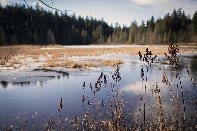 Vancouver Secrets of Stanley Park Walking Tour - The guides: storytelling is the product here