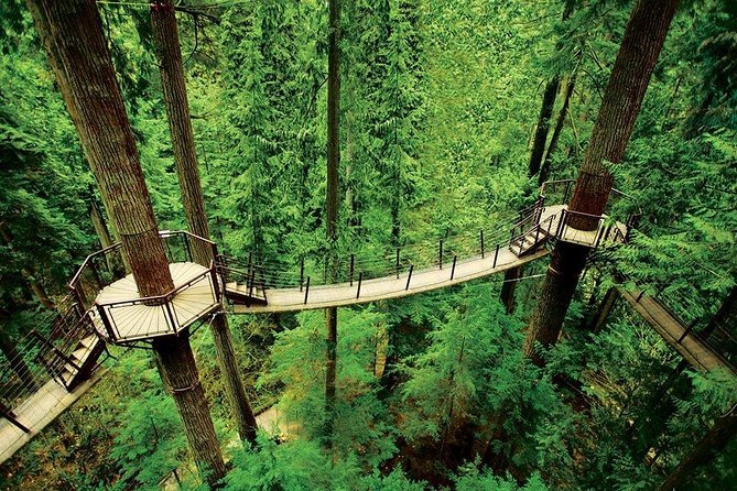 Vancouver Sightseeing and Suspension Bridge Small Group Tour - Pickup, Coach Comfort, and Why It Matters in Vancouver Traffic