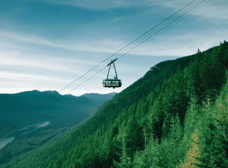 Vancouver: Small Group Tour w/Capilano & Grouse Mtn Lunch - Skyride to Grouse Mountain and lunch at Altitude Restaurant