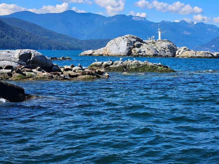 Vancouver: Snorkel, Kayak, and Seal Adventure Boat Tour - Key points before you go