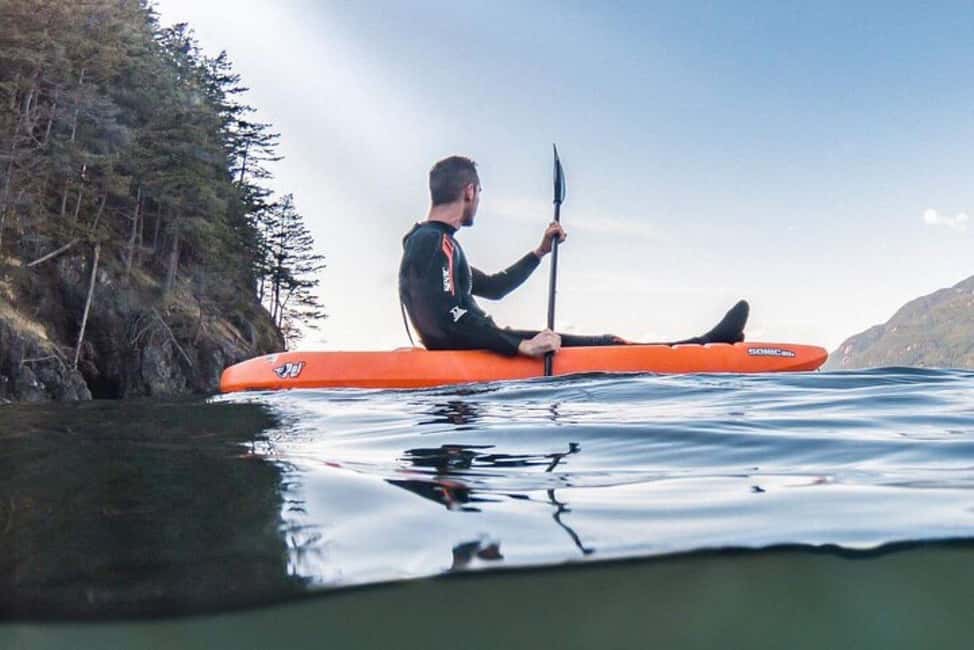 Vancouver: Snorkel, Kayak, and Seal Adventure Boat Tour - The sightseeing-only option: when it works and when it might not