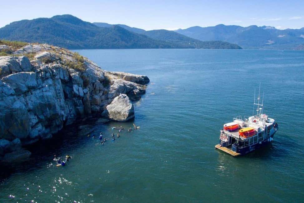 Vancouver: Snorkel, Kayak, and Seal Adventure Boat Tour - Who this tour suits best (and who should rethink it)
