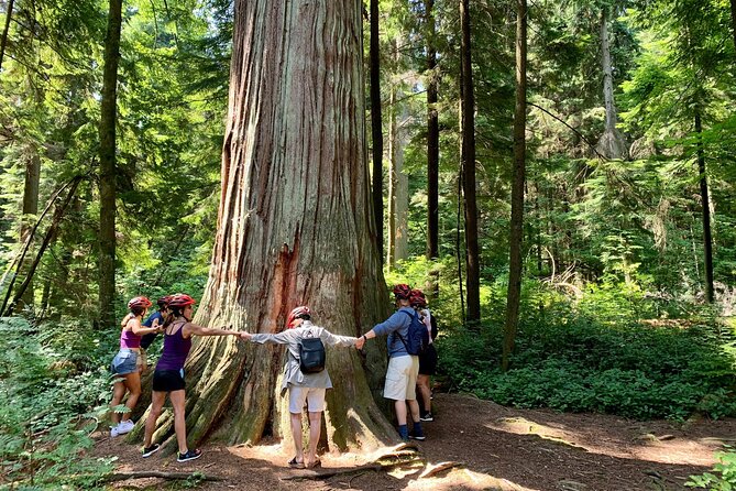 Vancouver Stanley Park 3 Hour Bike Tour - Price and logistics: what $69.99 buys you