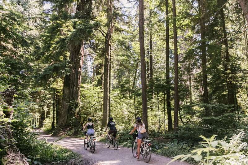 Vancouver: Stanley Park Bicycle Tour - Price and value: what $76 buys you in Vancouver time