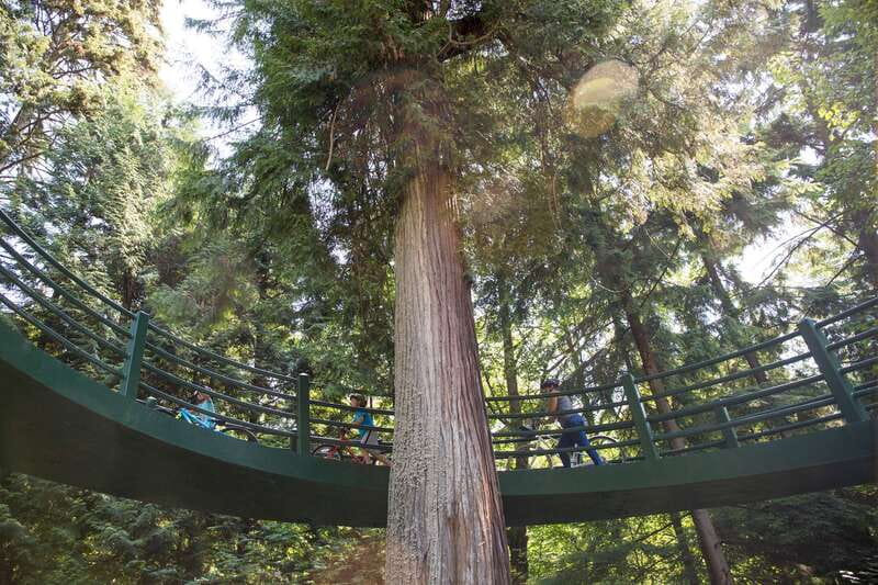 Vancouver: Stanley Park Bicycle Tour - From West End to English Bay: the easy start with real payoff