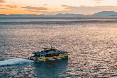 Vancouver Sunset Whale Watching Adventure with Free Photos - The crew and the whale rules: how they look for whales