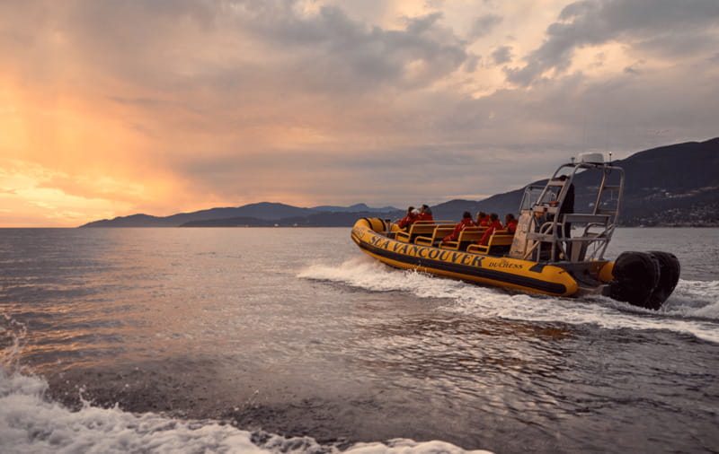 Vancouver: Waterfront Sightseeing Tour - City and Nature - Should you book this Vancouver waterfront tour?
