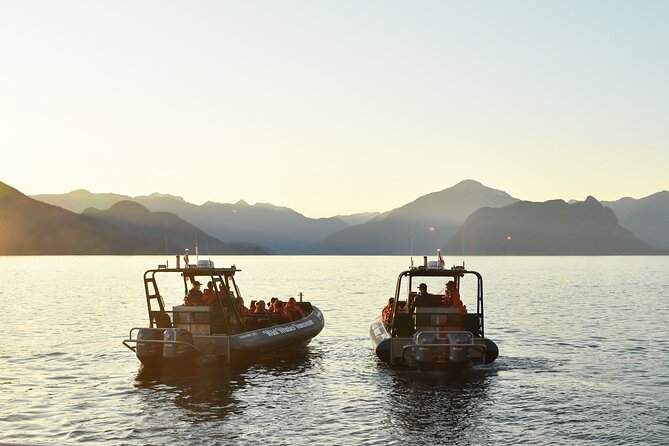 Vancouver's Intimate West Coast Whale Watching Experience - Onboard Comfort and Gear: Toilets, Sunscreen, Water, and Weather Clothing