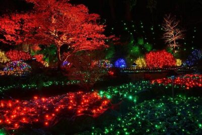Victoria and Butchart Gardens Christmas Tour - Ferry Ride: 90 Minutes of Gulf Islands Views (and Wildlife Chances)