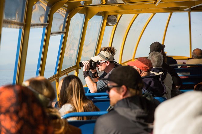 Whale-Watching Tour from Vancouver - Scenery beyond the city: the Gulf and San Juan Islands factor