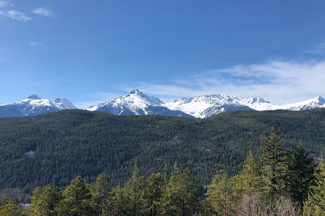 Whistler and Sea to Sky Gondola, a Fire and Ice Discovery Tour - Sea to Sky Gondola at Habrich Ridge: Trails, Bridge, and Summit Snacks