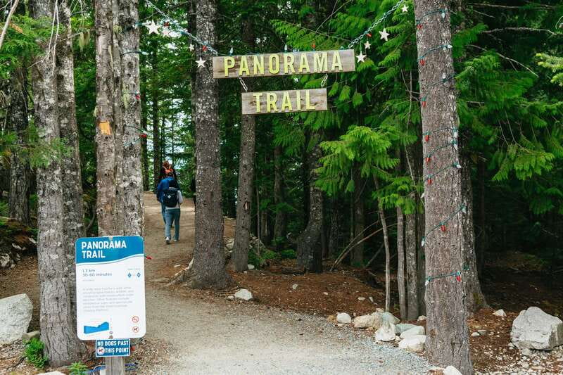 Whistler, Sea to Sky Gondola, and Shannon Falls Day Trip - Price and value for $141 per person: what you’re really paying for